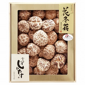 |c PYX 啪Yő ԓ~(ǂ) (HD-100)